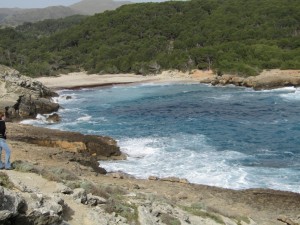 IMG_5431 (Medium)